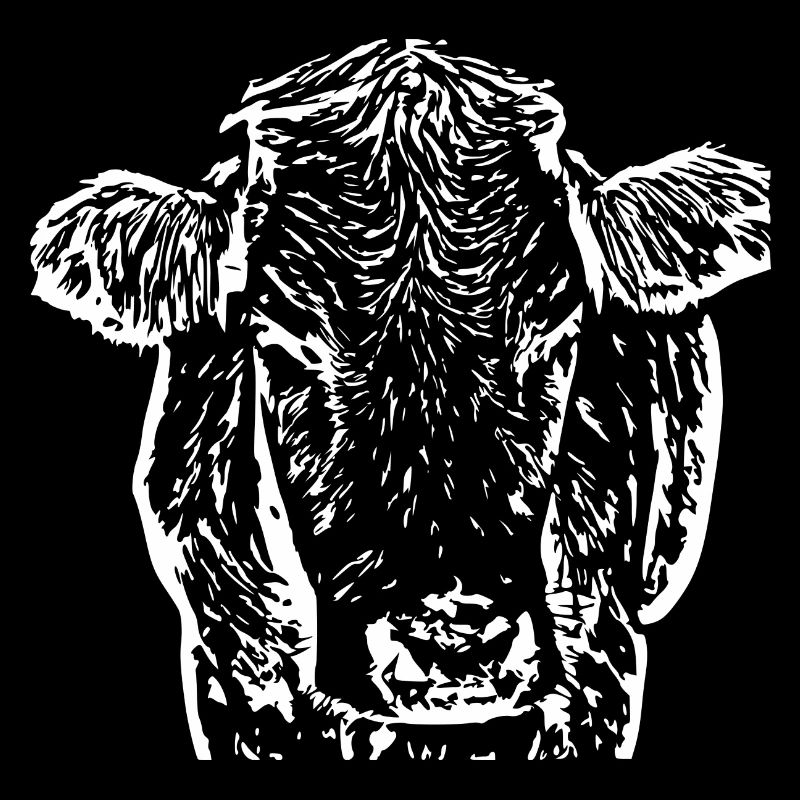 Vache Tête de Vache Blanche