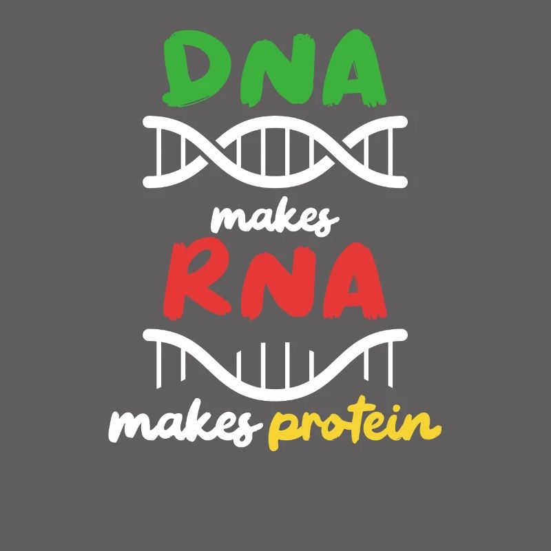 Aus DNA wird RNA wird Protein