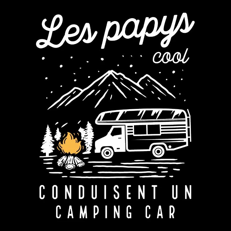 Les Papys Cool Conduisent Un Camping-car