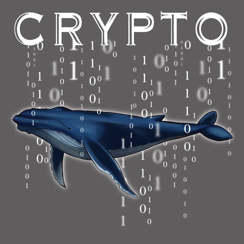 Crypto Wal Krypto Geschenk Idee