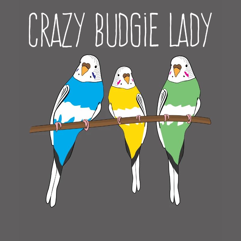 Perruche Budgerigar Lady Budgerigar