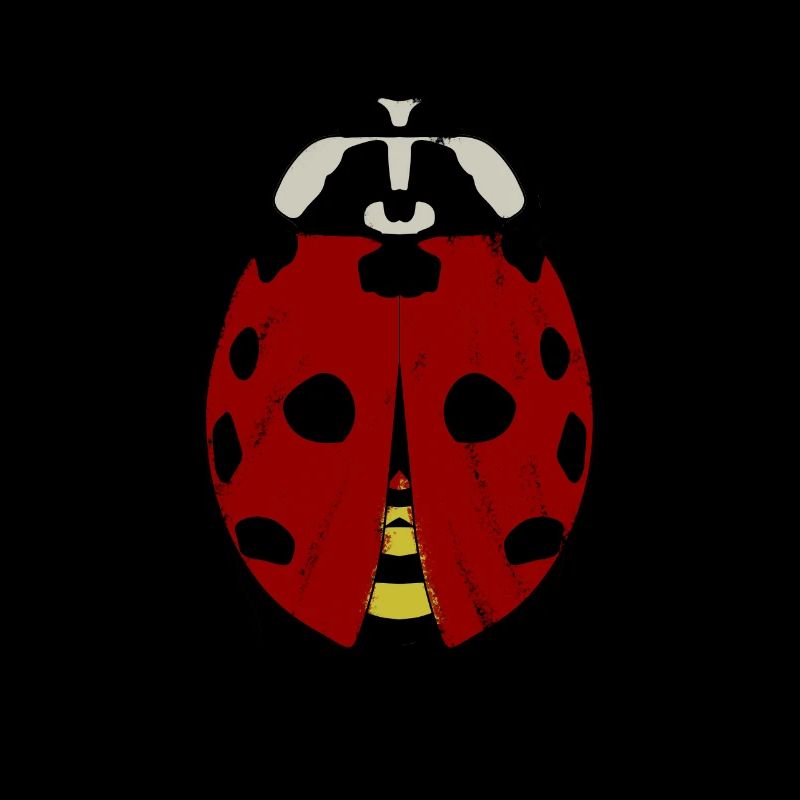 Ladybug Ladybugs