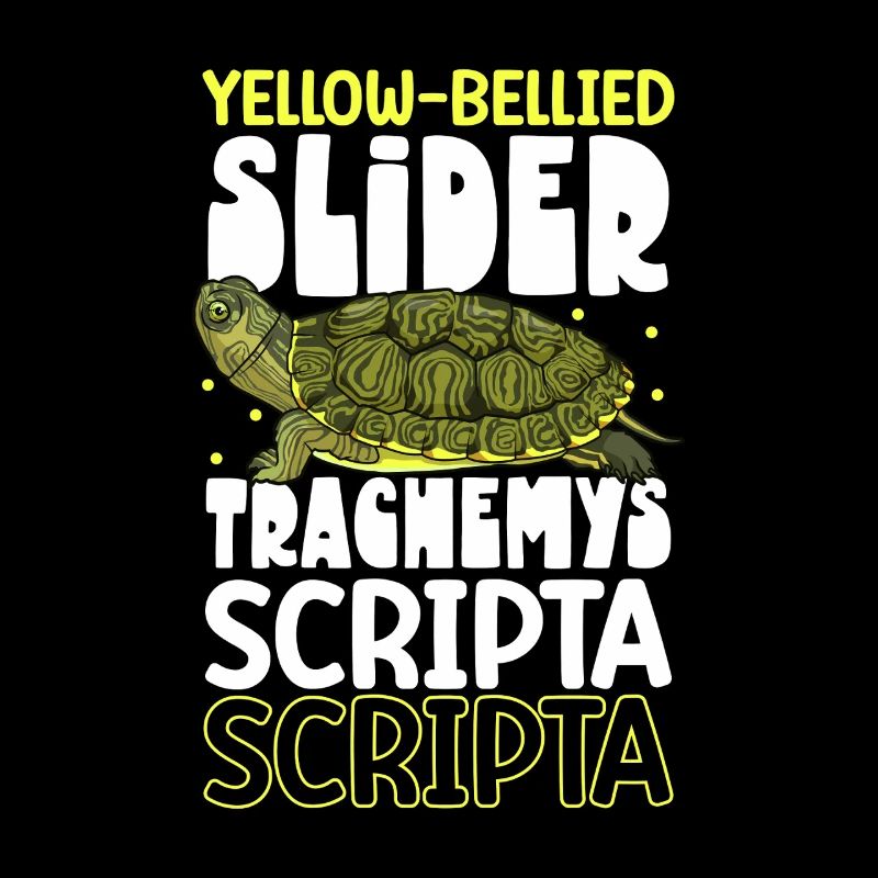 Yellow-cheeked Turtle