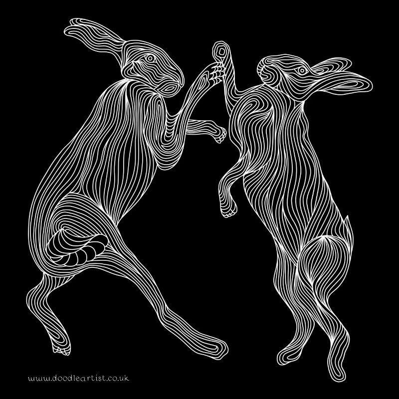Boxing hares