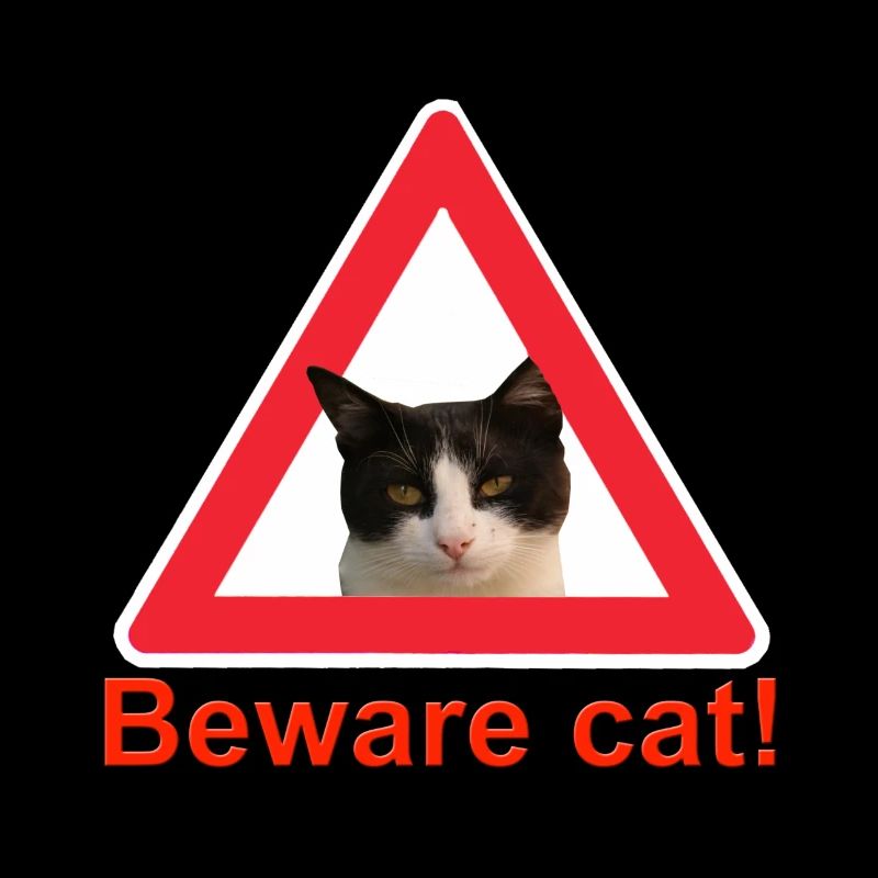 Attention chat signe de trafic chat dame
