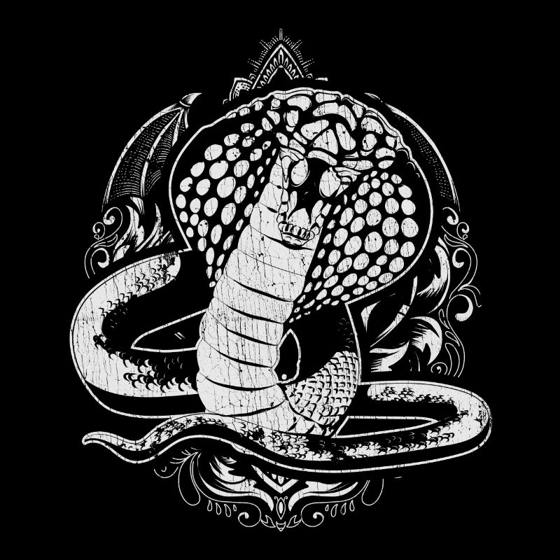 Animal Reptiles Predator Snakes Gift Cobra