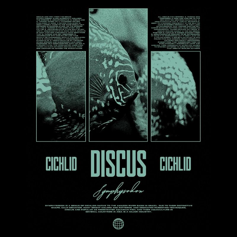 Discus Cichlidé Aquarium Fish Keeper