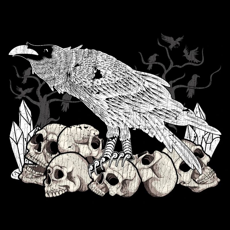 Crystals Occult Skull Crow Gift Raven