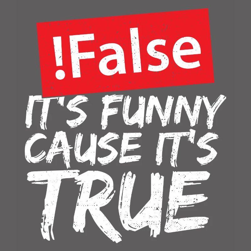 False It's Funny Cause It's True - Programmieren
