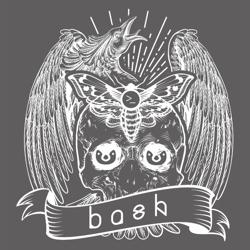 bash shell linux