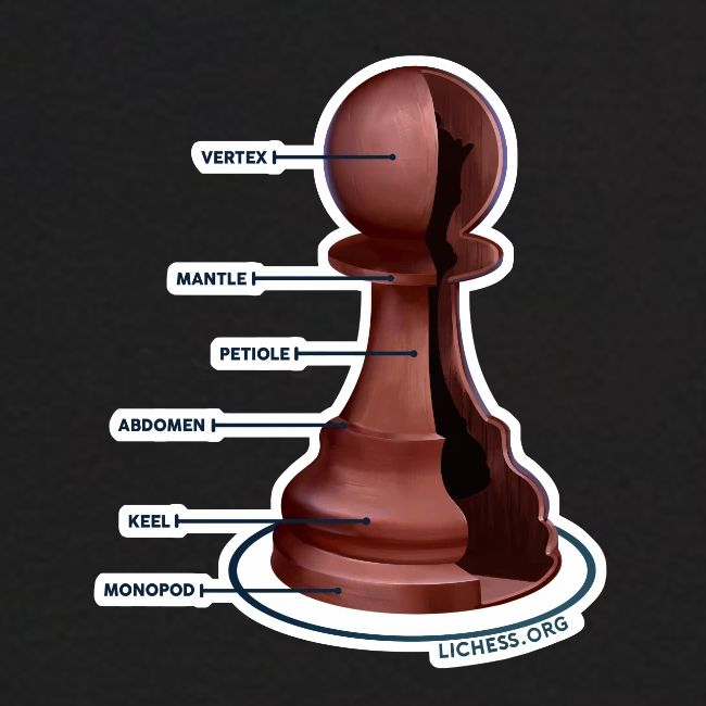Lichess Pawn