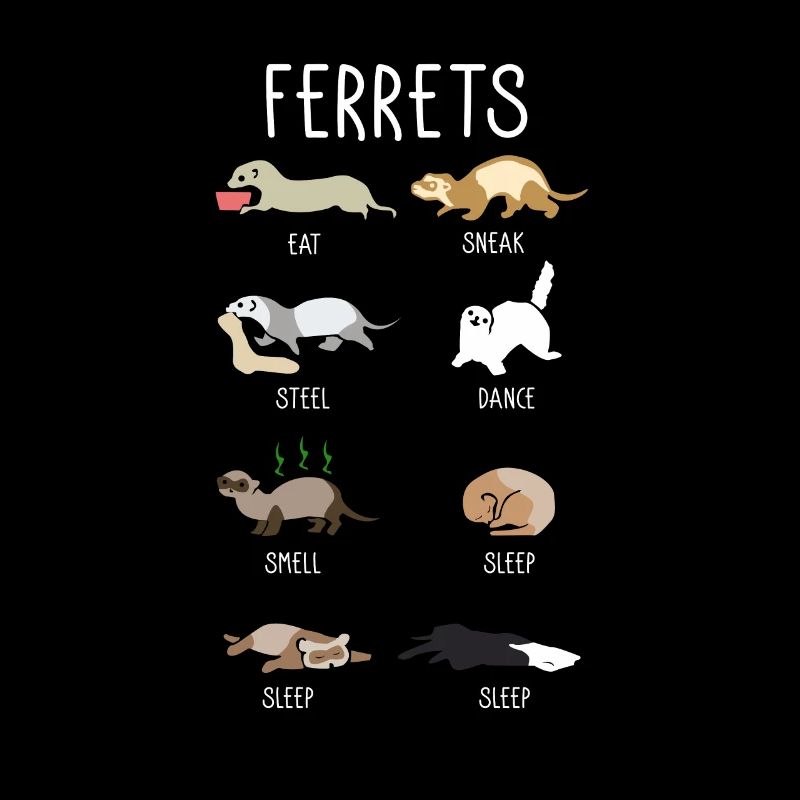 Furet