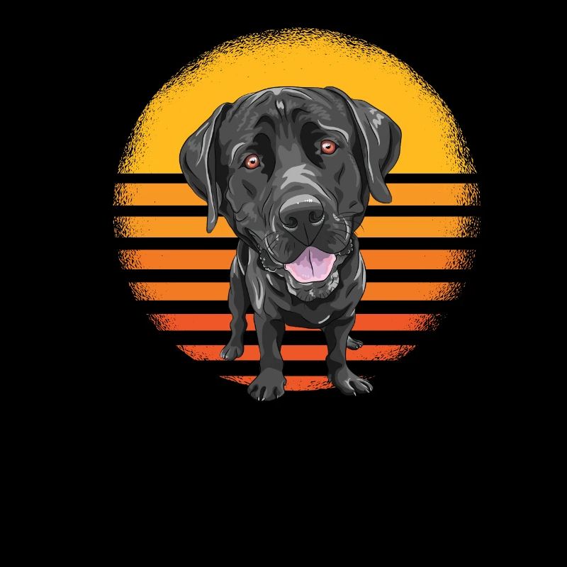 Labrador