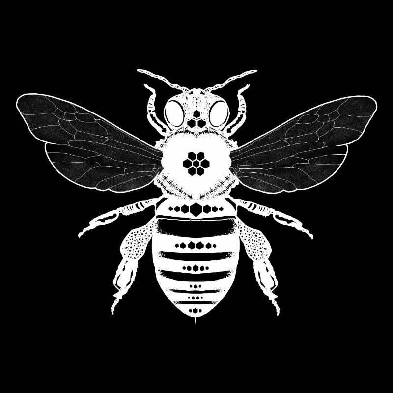 Insectes