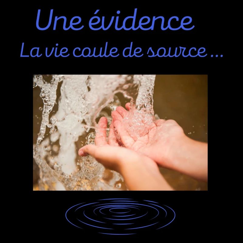 Une évidence la vie coule de source