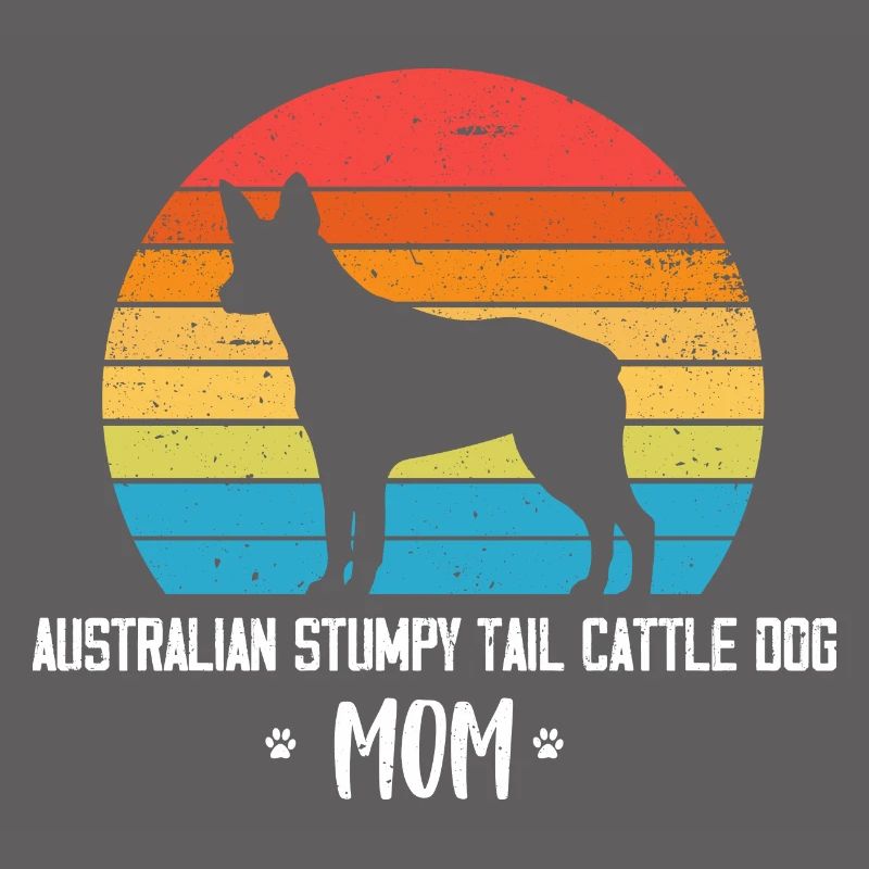 Australian Stumpy Tail Cattle Dog
