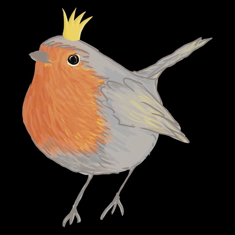 Princesse Robin