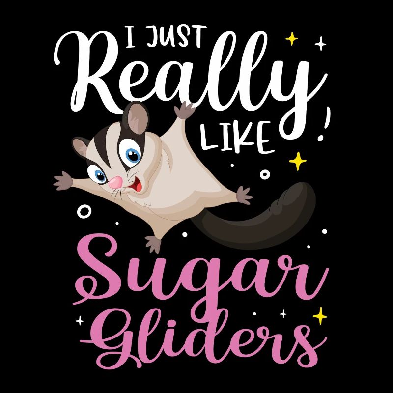 Sugar Glider Flughörnchen