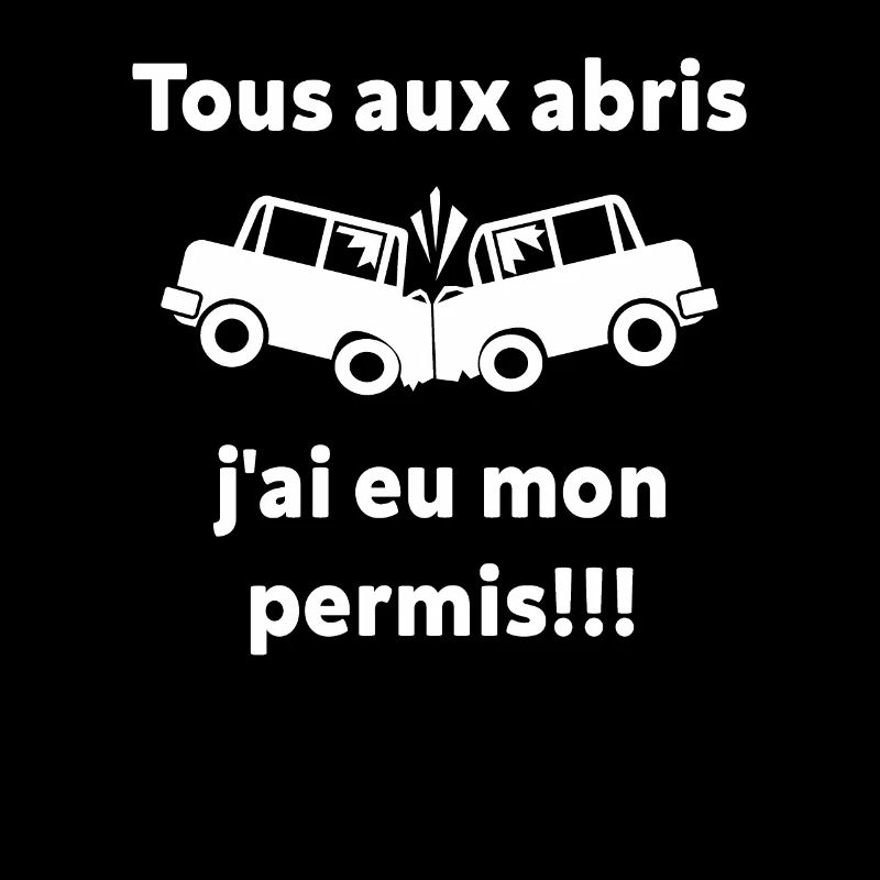 Tous Aux Abris, J'ai Eu Mon Permis!