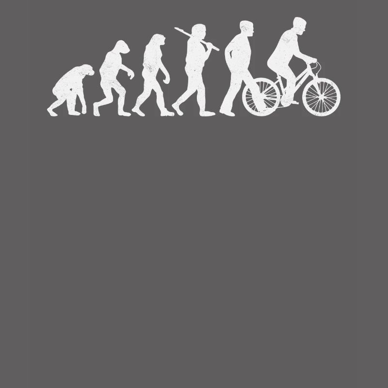 Roue cycliste Darwin Evolution