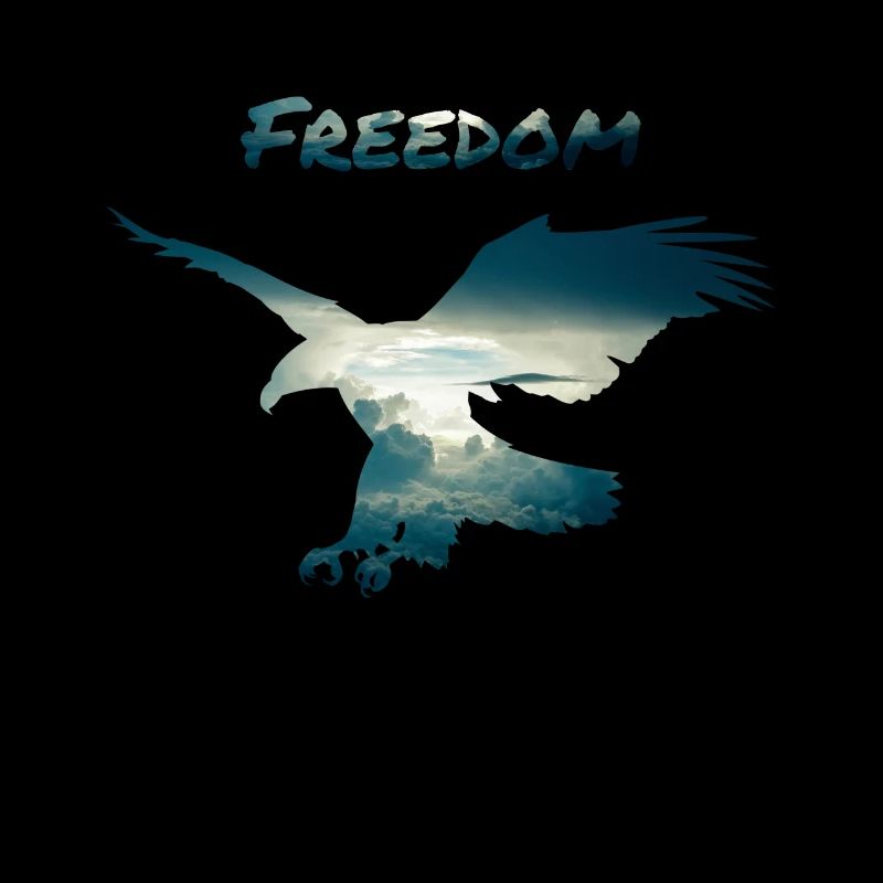 Eagle freedom fly clouds sky Independent