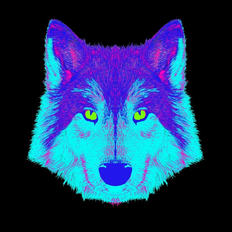 Wolf EDM