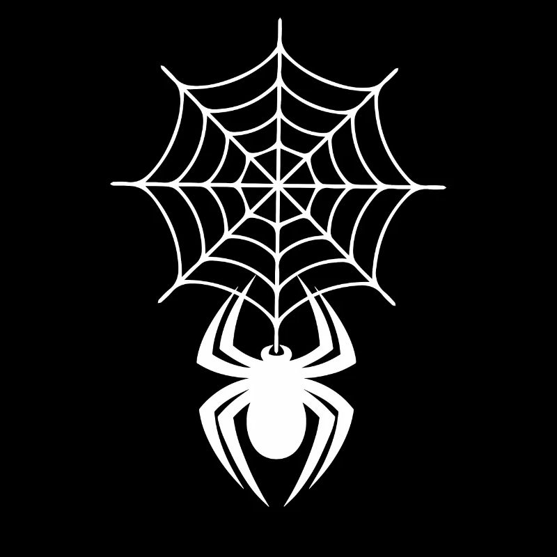 Spinnennetz mit Spinne