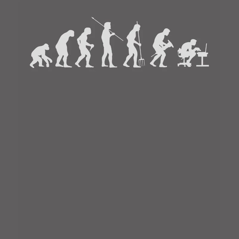 Informatiker Evolution