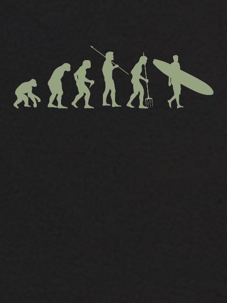 Surfer Evolution