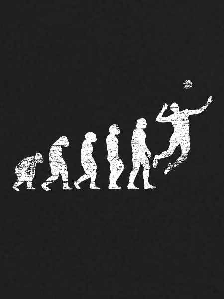 Volleyball Evolution