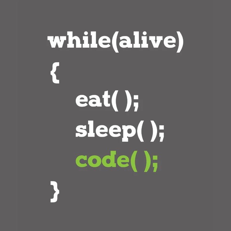 Java Programmierer Informatiker Schleife