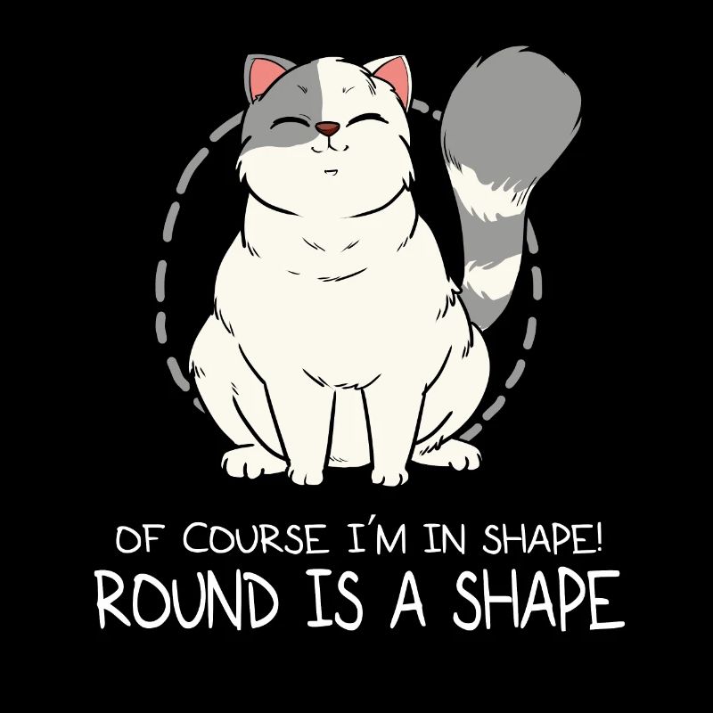 Fat cat round shape fat fluffy kitten