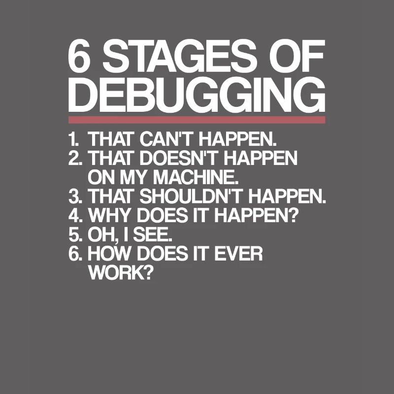 6 Stages of Debugging | Programmer, computer science