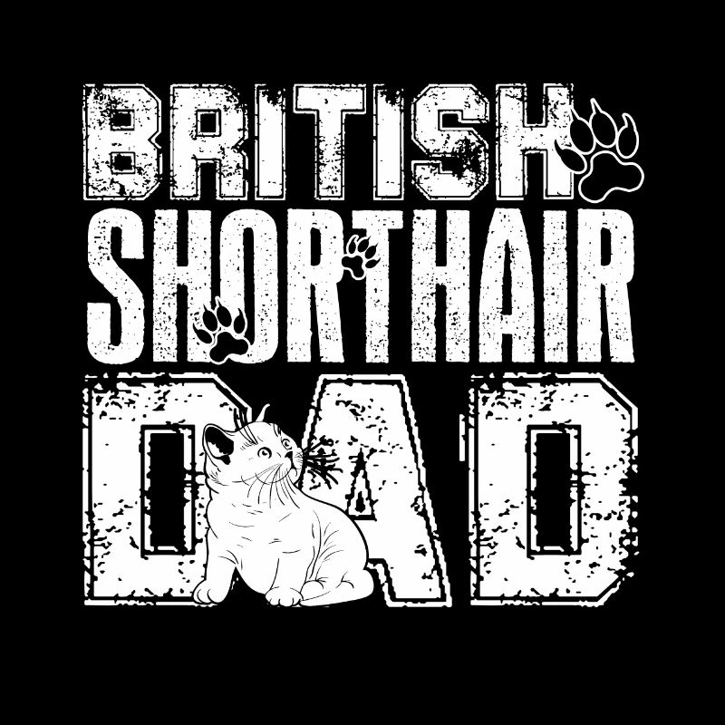 Britisch Kurzhaar Britisch Kurzhaar Papa