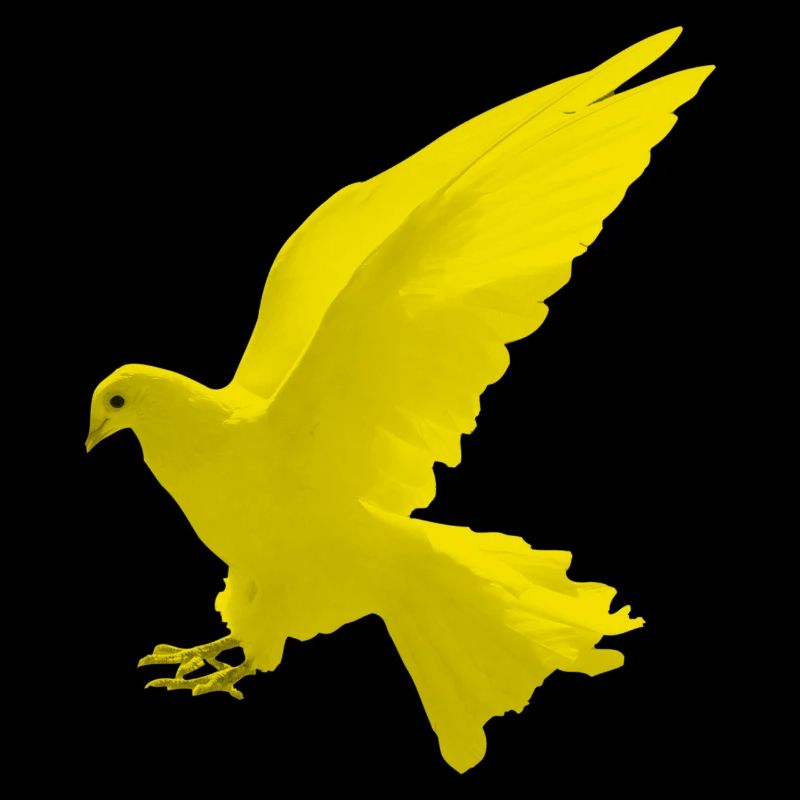 sticker for auto rear window