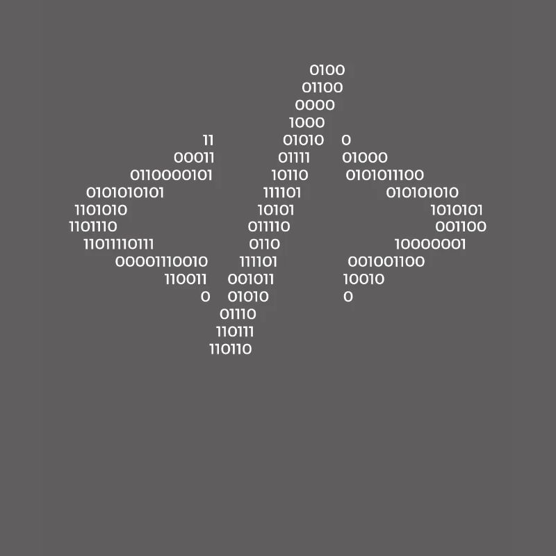 Hacker Code Informatique Java Rengaine Cadeau