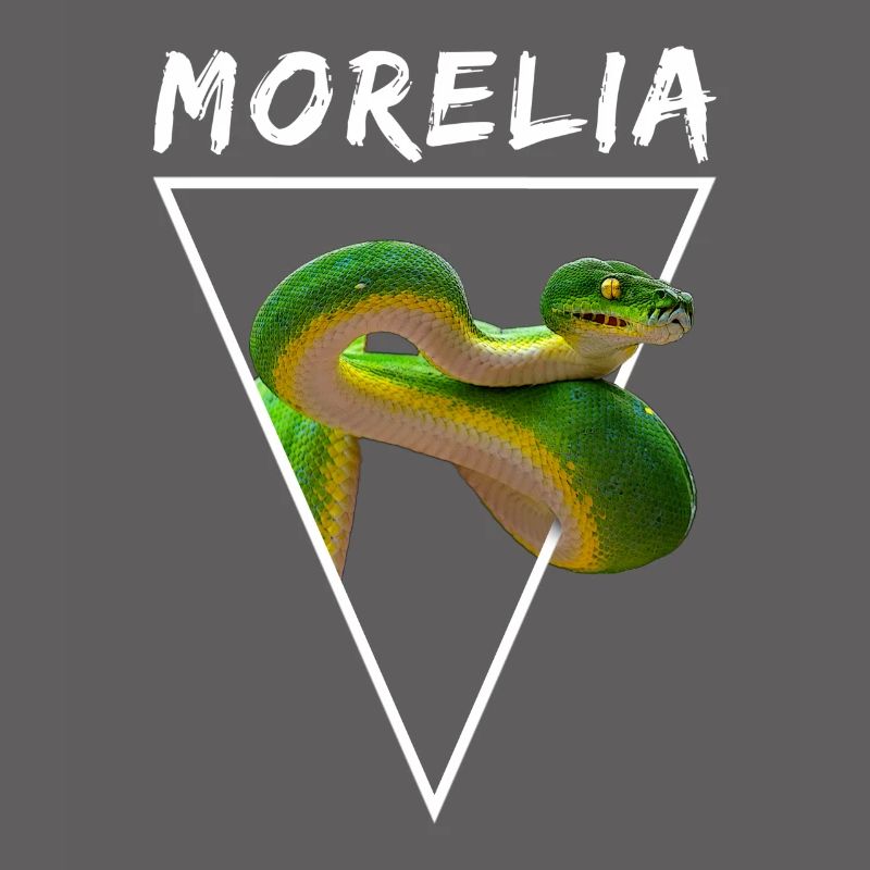 Green Tree Python Morelia Viridis Snake Owner