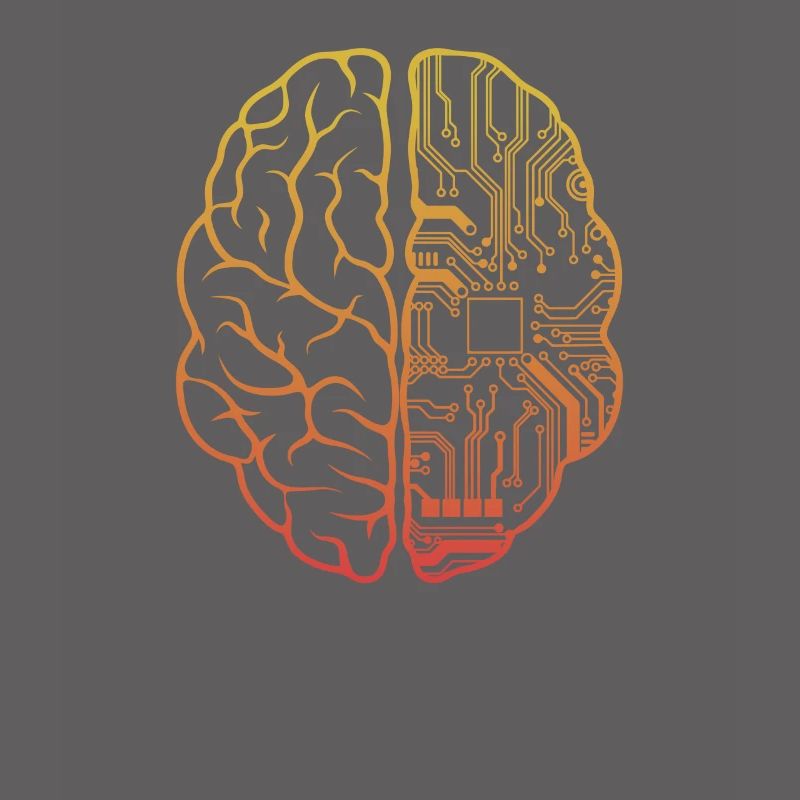 Programmeur HTML - Développeur Programmation Brain Cool