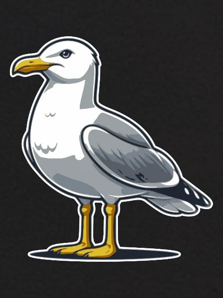 Möwe