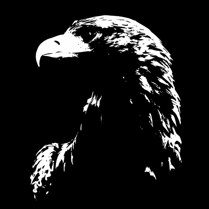 aigle