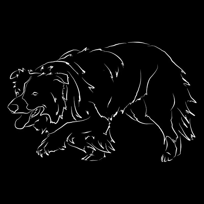 Chien Border Collie