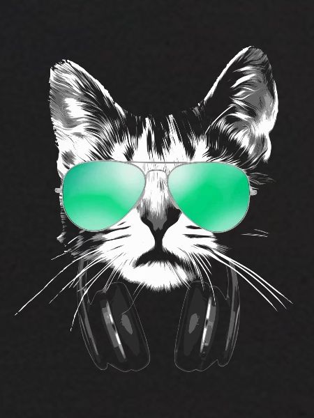 Cool DJ Cat