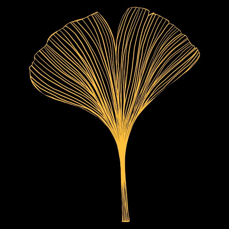 Ginkgo