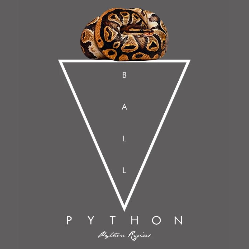 Ball Python Geometrischer moderner Schlangenwärter