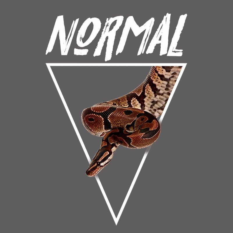 Normal Ball Python Morph Snake Owner