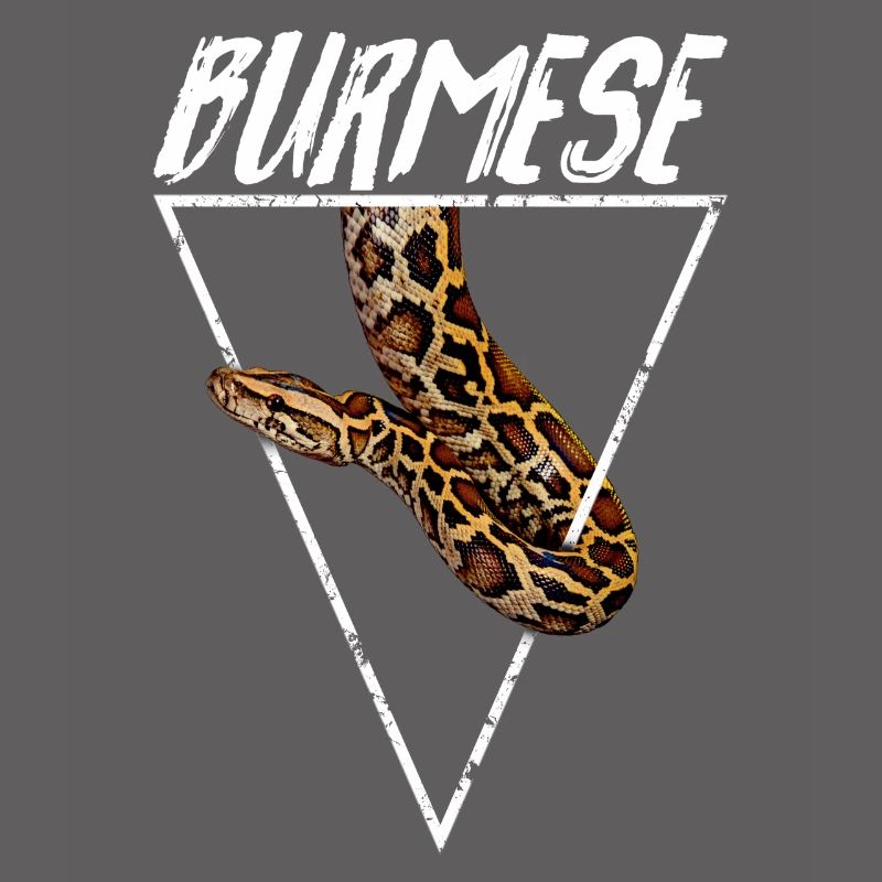 Propriétaire Python Birman Géométrique