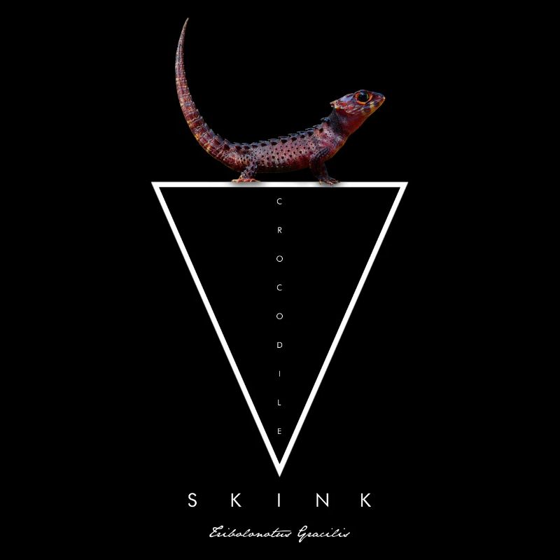 Crocodile Skink Lizard Geometric