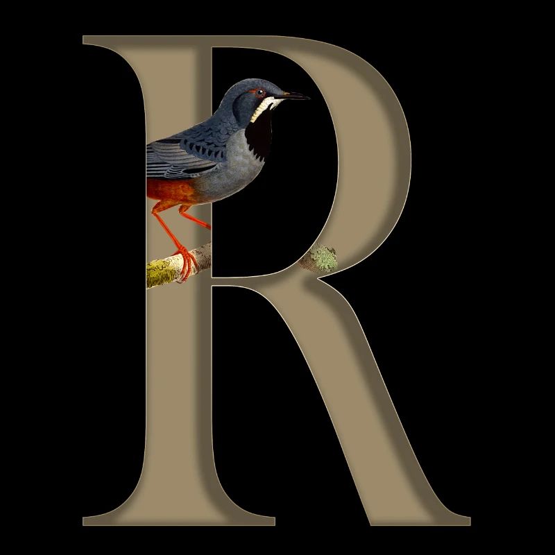 Initial letter R, Red-legged thrush bird