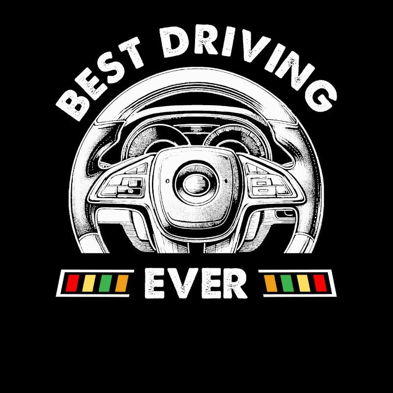 Driving School Driving Instructor