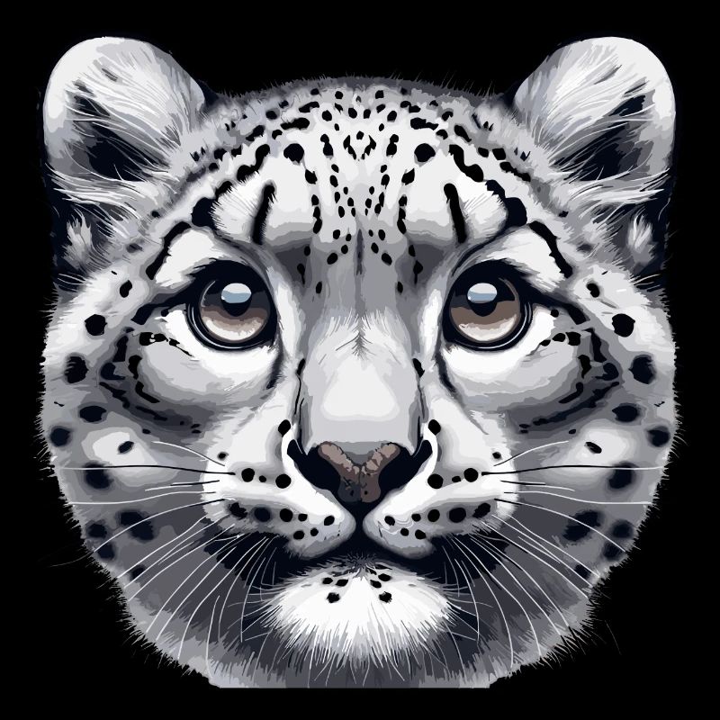 Schneeleopard Leopard Weißer Leopard